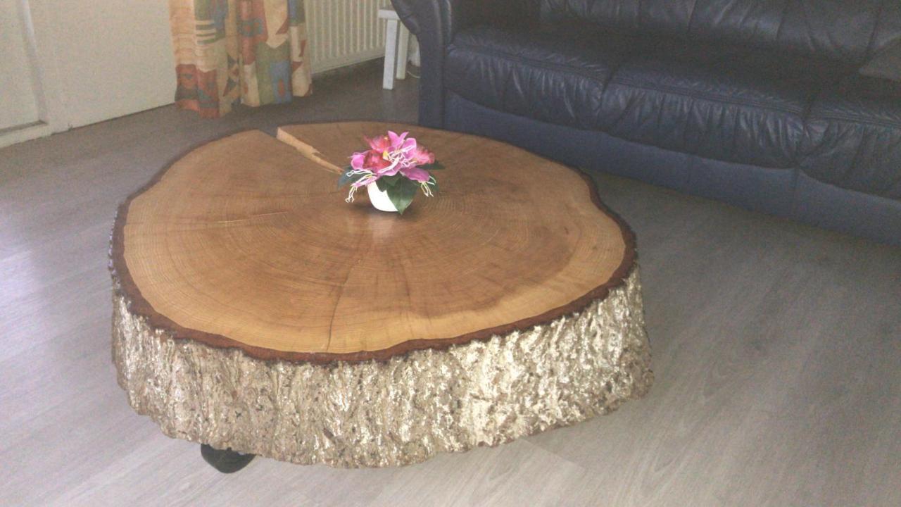 52 Horalaan Villa Bennekom Ngoại thất bức ảnh
